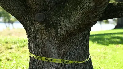 Judge Prohibits Further Tree Cutting at East Potomac Golf Course for Two Weeks