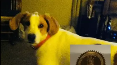 ‘Biscuit’ the dog is latest dead felon to get their voting rights back from Virginia Gov. Spanberger, confused owner says
