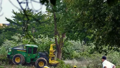 More Than 500 Trees to Be Cut Down at D.C. Golf Club That Trump Wants to Redo