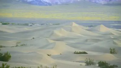 On This Day, Oct. 31: Death Valley, Joshua Tree National Parks established