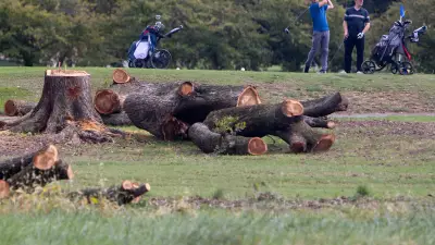 A judge blocks the government's tree-clearing spree at a municipal D.C. golf course