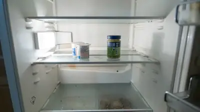 What Is an AI Worm? Expert Warns of Risks to Fridges, Water Systems