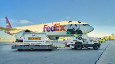 Two giant pandas on loan from China arrive at Zoo Atlanta for 10-year stay