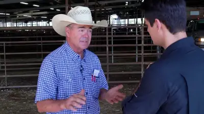 Trump's beef imports face backlash from Texas cattle ranchers