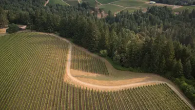 Oregon Helicopters Collide Midair, Killing Three: What We Know
