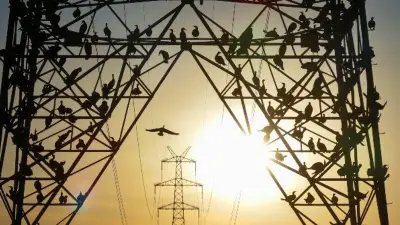 Utilities Struggle to Confront Issue of 'Phantom' AI Data Centers