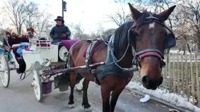 Horse-drawn carriage ban approved by NYC Council